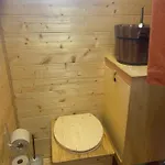 Tiny House En Bois