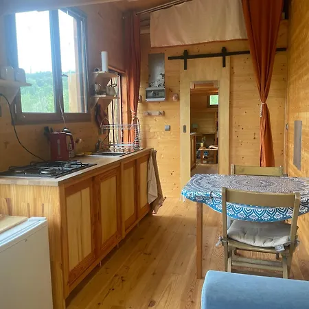 Chalet Tiny House En Bois