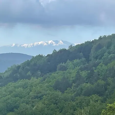 Tiny House En Bois *