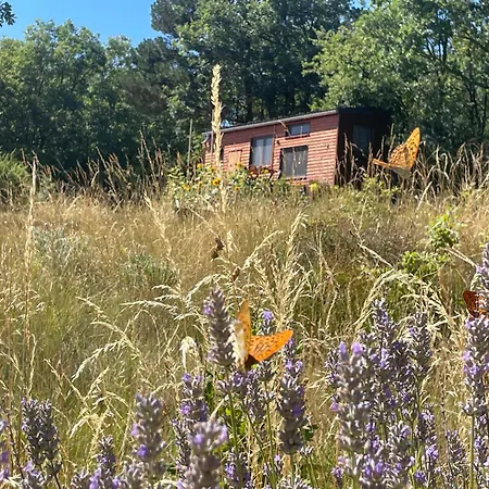 木屋 Tiny House En Bois Cubières-sur-Cinoble
