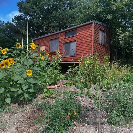 Tiny House En Bois